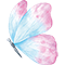 Brides of Dorset butterfly logo